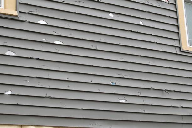 Professional Junk Removal in Lakehurst, NJ